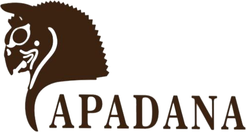 APADANA